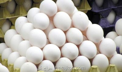 توزیع مرغ ۱۵۷۵۰ تومانی و تخم مرغ ۱۳۹۰۰ تومانی در میادین شهرداری
