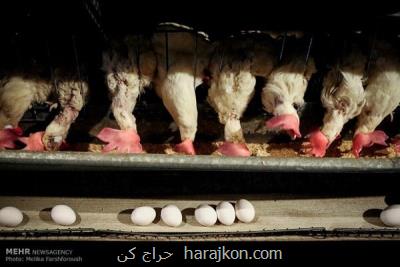 خرید دستگاههای صنعتی از بازرگانی آب نیرو