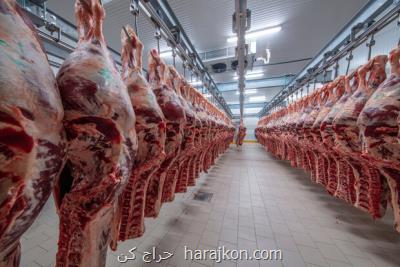 قیمت گوشت برای مصرف كننده نباید از ۱۲۰ هزار تومان بیشتر باشد