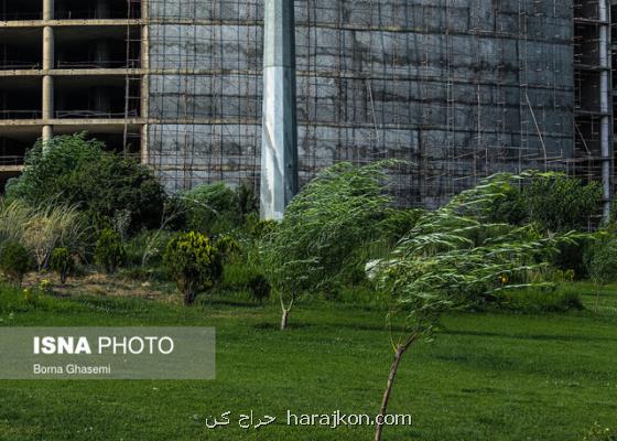 وزش باد شدید در بخش هایی از تهران