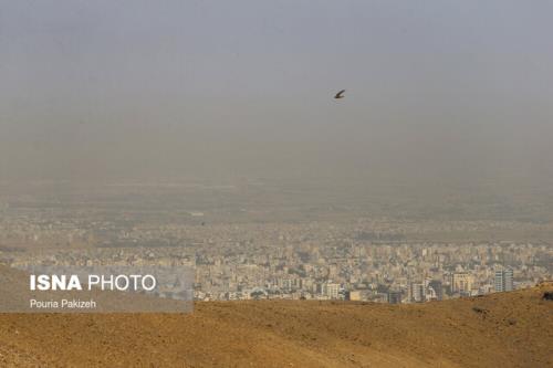 تایید مازوت سوزی در سه کلانشهر