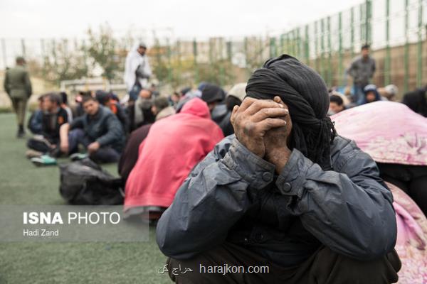 آغاز جمع آوری معتادان متجاهر تهران در هفته آینده