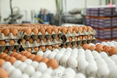 قیمت تخم مرغ در میادین تره بار باردیگر کاهش پیدا کرد