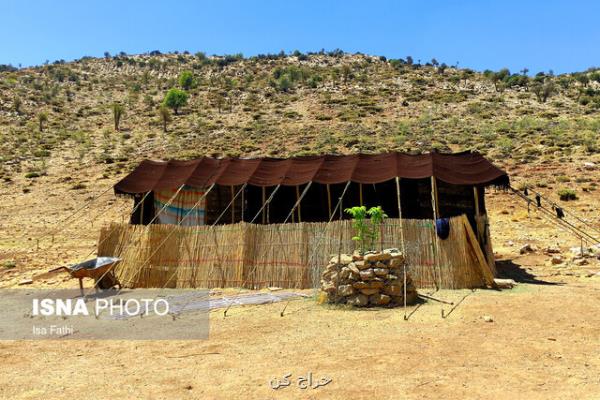 تولید ۳۰ درصدی گوشت قرمز تهران توسط عشایر
