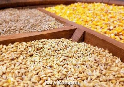 پیش بینی افزایش ۳۰ تا ۴۰ درصدی قیمت غلات