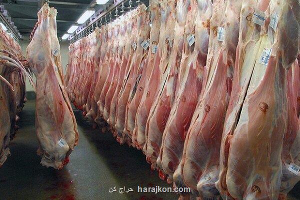 قیمت نهاده های دام عامل گرانی گوشت قرمز است
