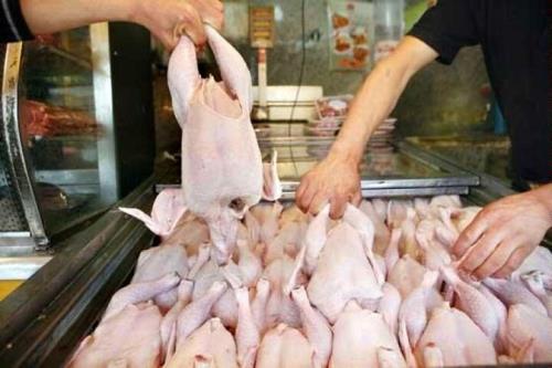 افزایش 8 درصدی عرضه مرغ در شهریور نسبت به مرداد