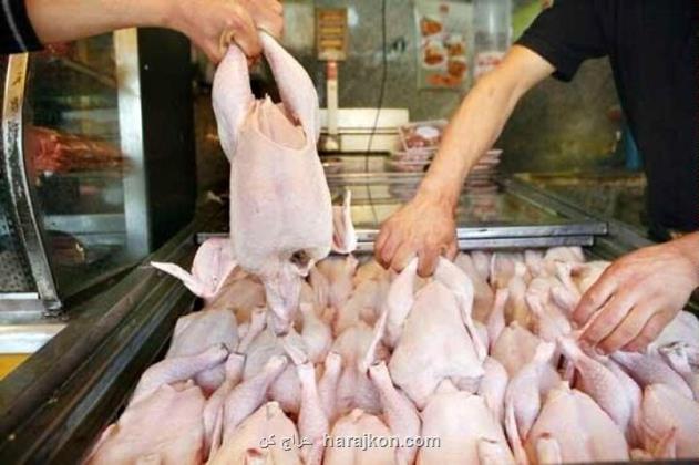 افزایش 8 درصدی عرضه مرغ در شهریور نسبت به مرداد