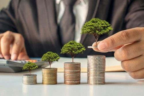 تخصص شما، برگ برنده در سرمایه گذاری