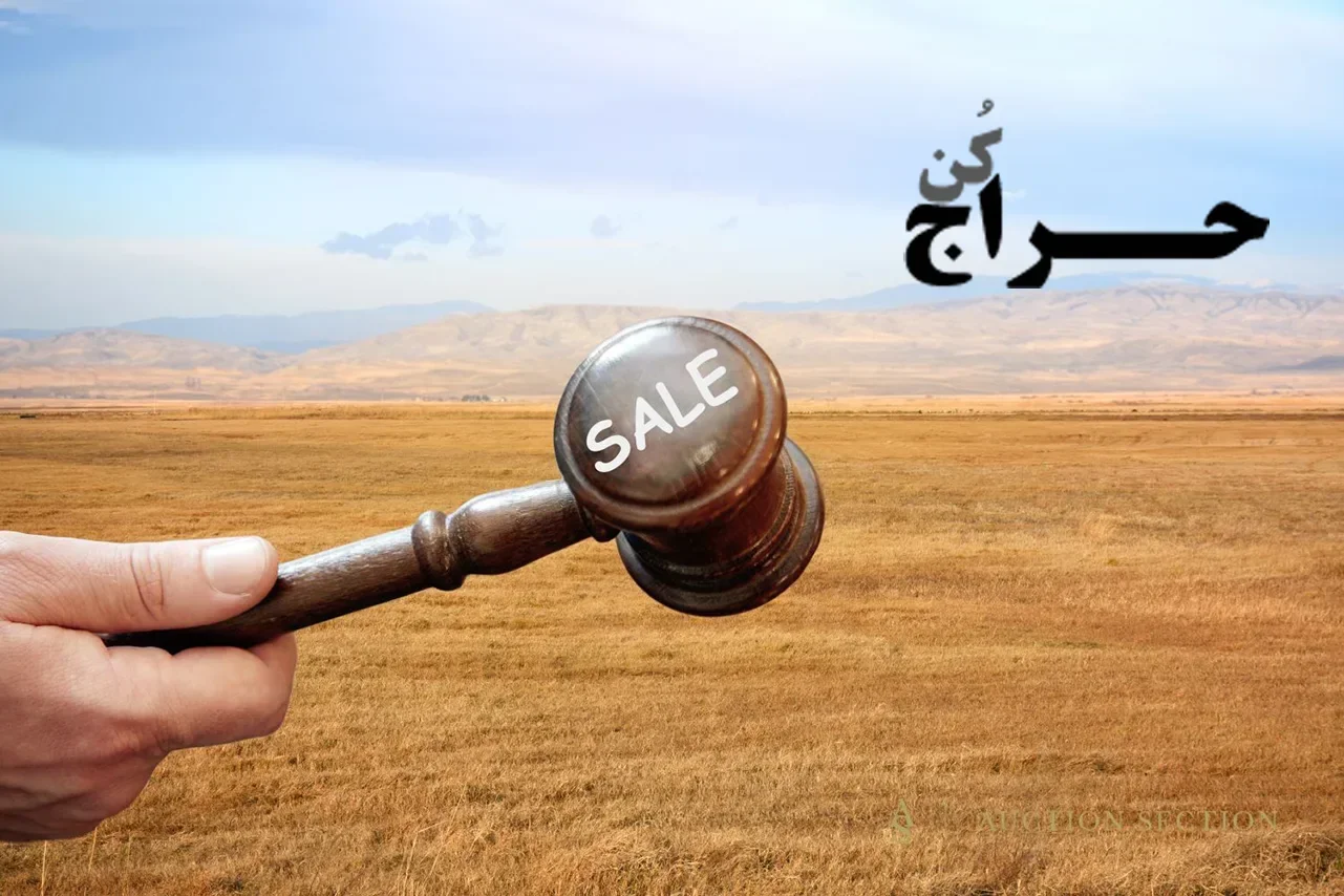 بررسی تفاوت های بنیادی فروش معمولی و حراجی