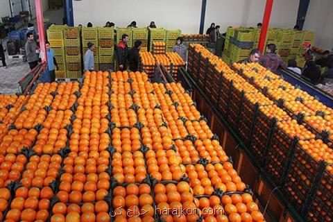 توزیع سیب و پرتقال شب عید از ۲۰ اسفند آغاز می گردد