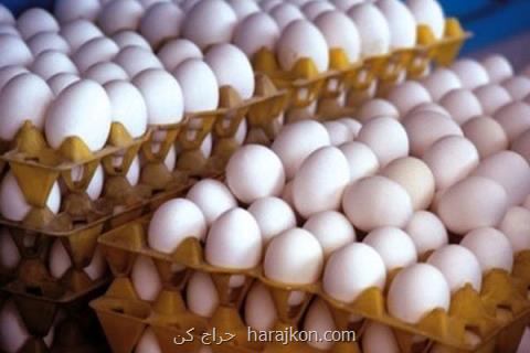 كاهش ۲۵۰۰ تومانی قیمت تخم مرغ، دولت واردات را متوقف نماید
