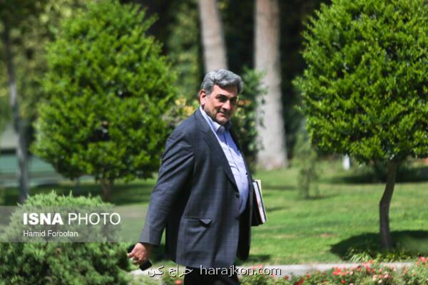 واكنش حناچی به بستن درهای بوستان مادر بدلیل حضور همسر ظریف