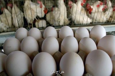 عرضه تخم مرغ بالاتر از شانه ای 34 هزار تومان گرانفروشی است