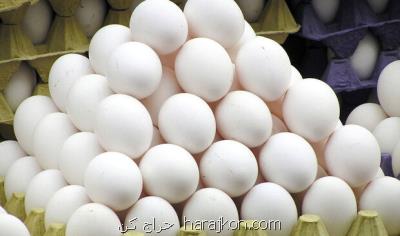 تخم مرغ هایی كه دولت می خرد، در بازار آزاد و گران فروخته می شود!